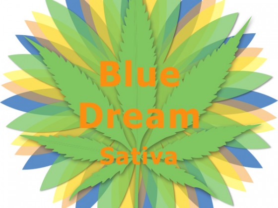 Blue Dream