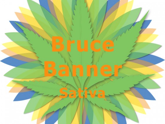 Bruce Banner