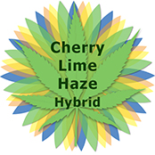 Cherry Lime Haze