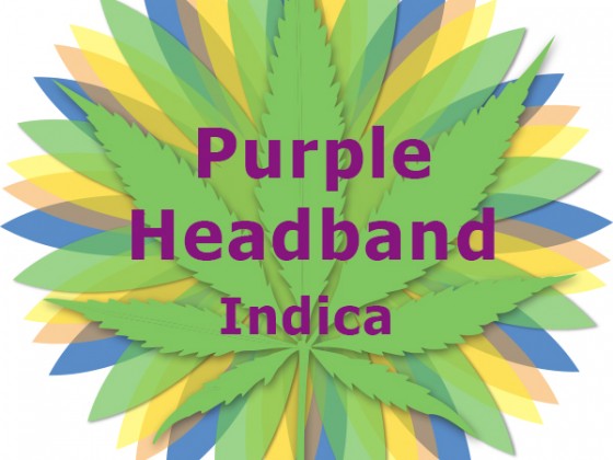 Purple Headband