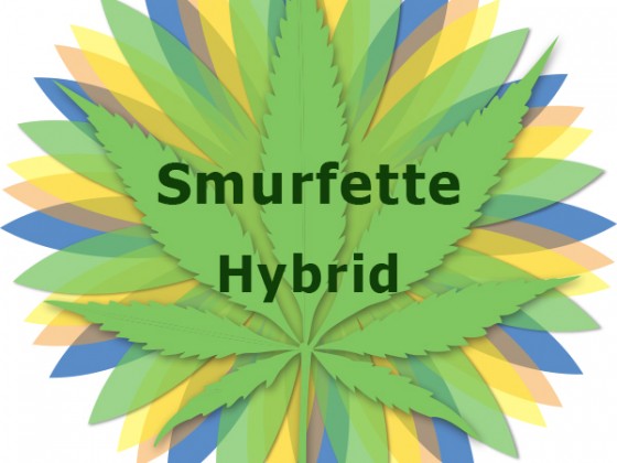 Smurfette