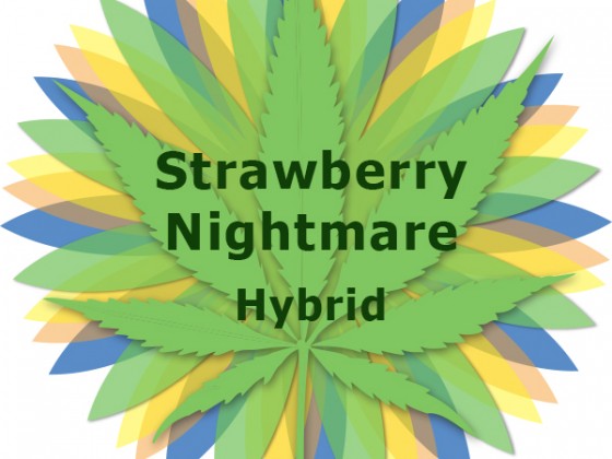 Strawberry Nightmare